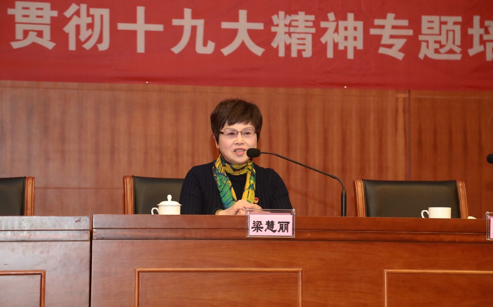上海市黨的十九大代表、普陀區桃浦鎮社區黨委副書記、蓮花公寓居民區黨總支書記梁慧麗作輔導報告