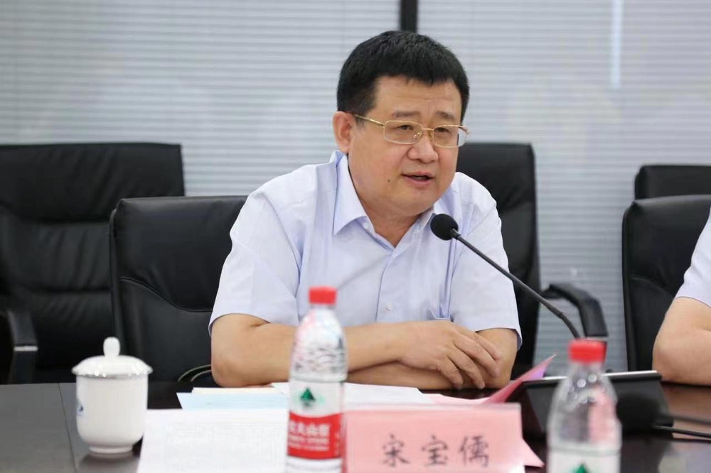 宋寶儒書記總結(jié)講話