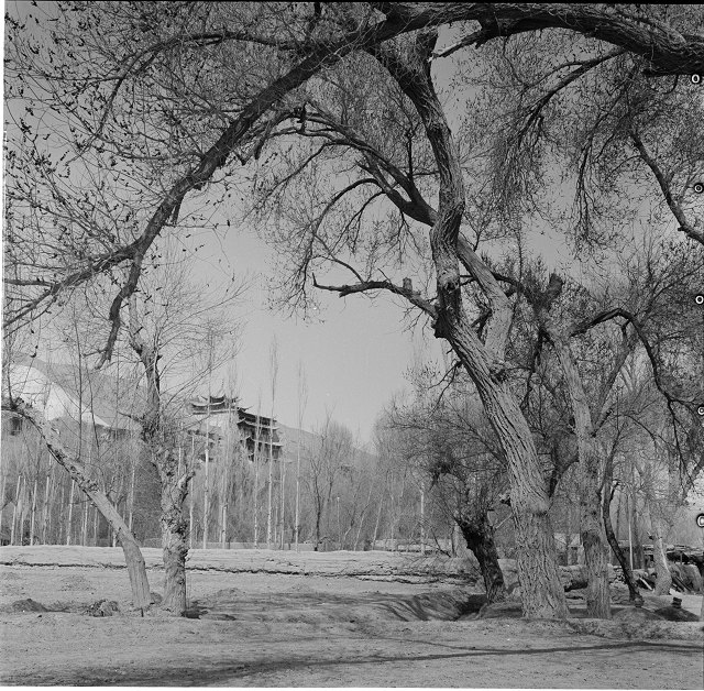 莫高窟九層樓前-外景-1956年