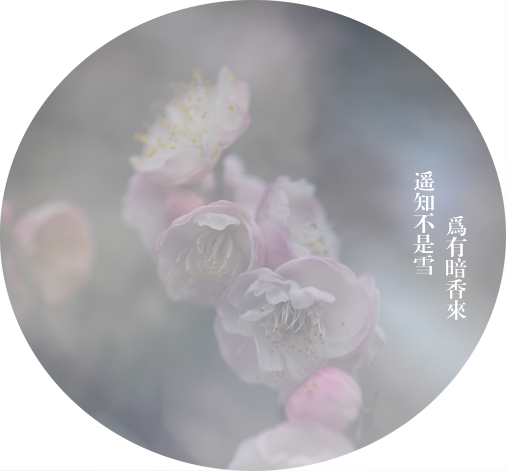 婉約