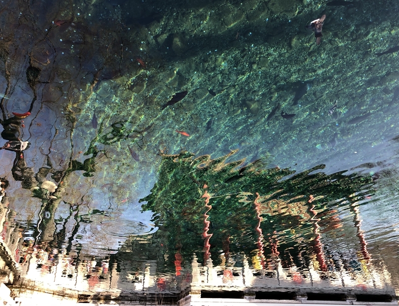 清泉幻境-許梅英