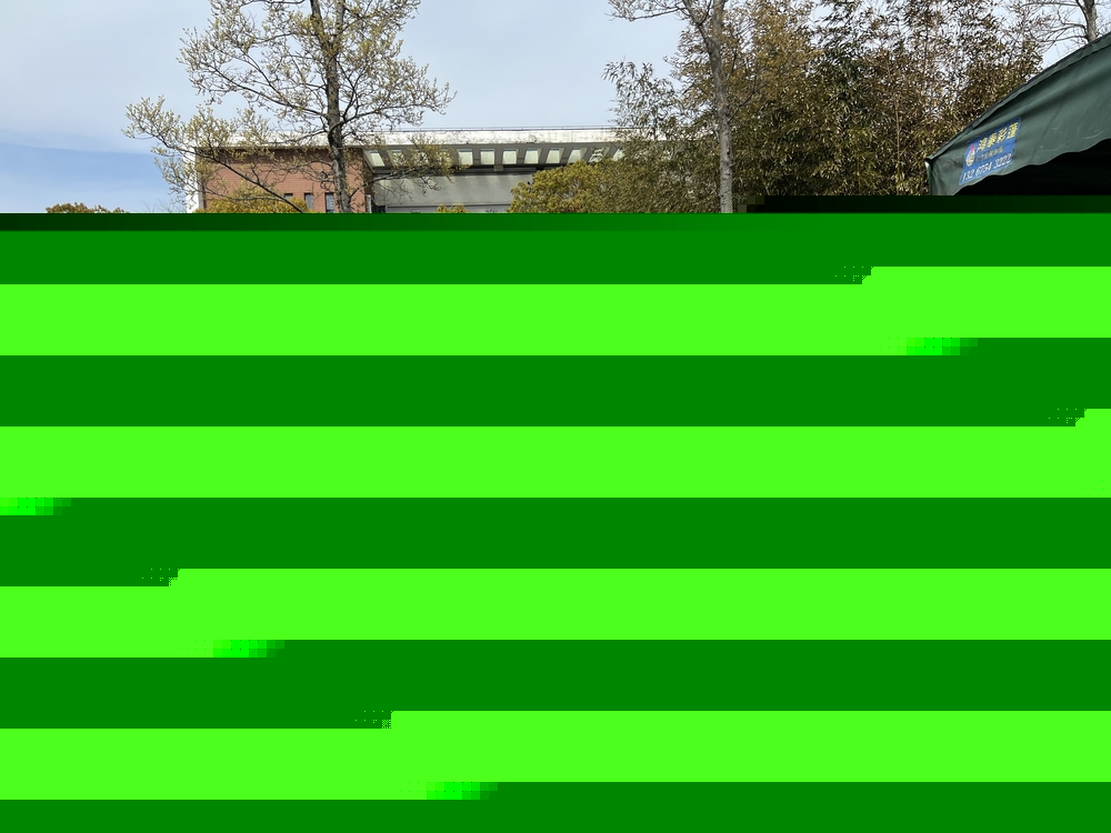 上海海事大學浙江校友會捐贈的一次性醫用丁腈手套抵達學校
