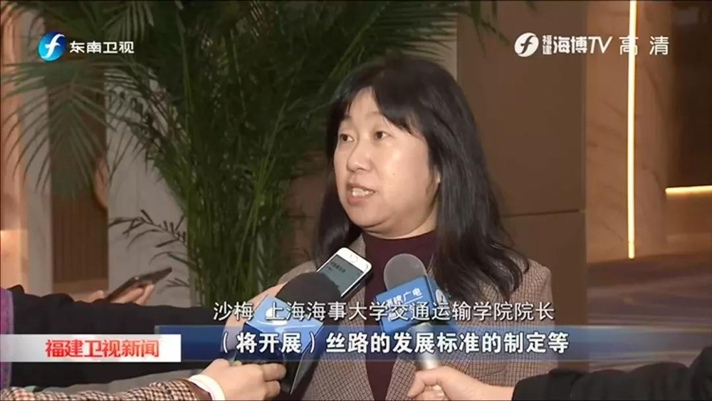 上海海事大學(xué)交通運輸學(xué)院院長沙梅教授接受采訪