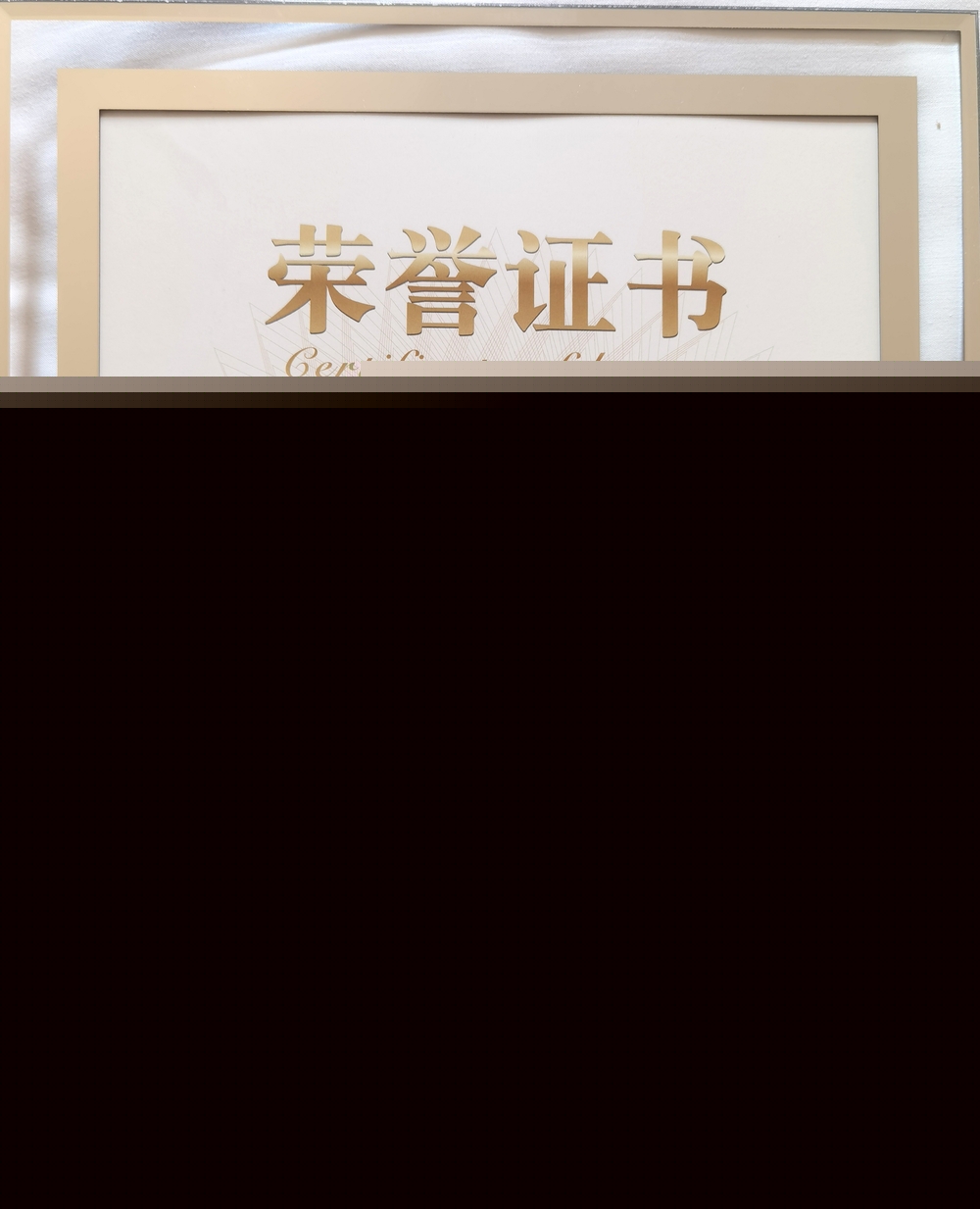 上海海事大學榮獲“全國啦啦操特別貢獻獎”