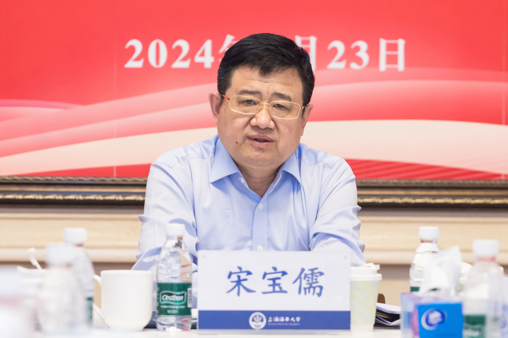 宋寶儒書記發(fā)言