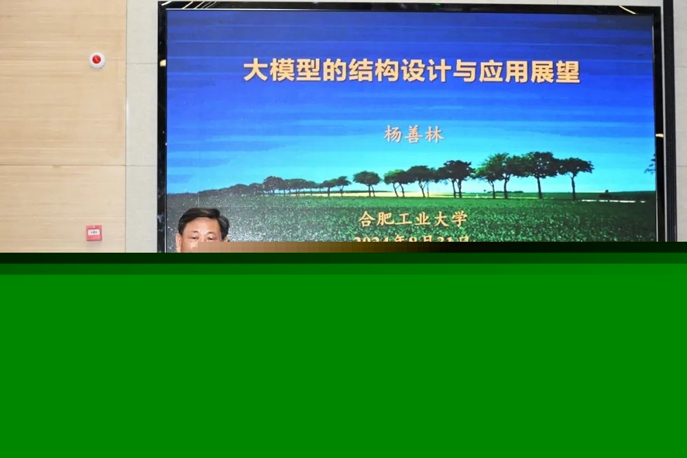 中國(guó)工程院院士、合肥工業(yè)大學(xué)楊善林教授作主旨報(bào)告