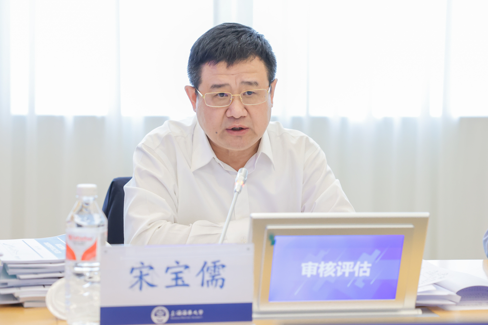宋寶儒書記作指導點評