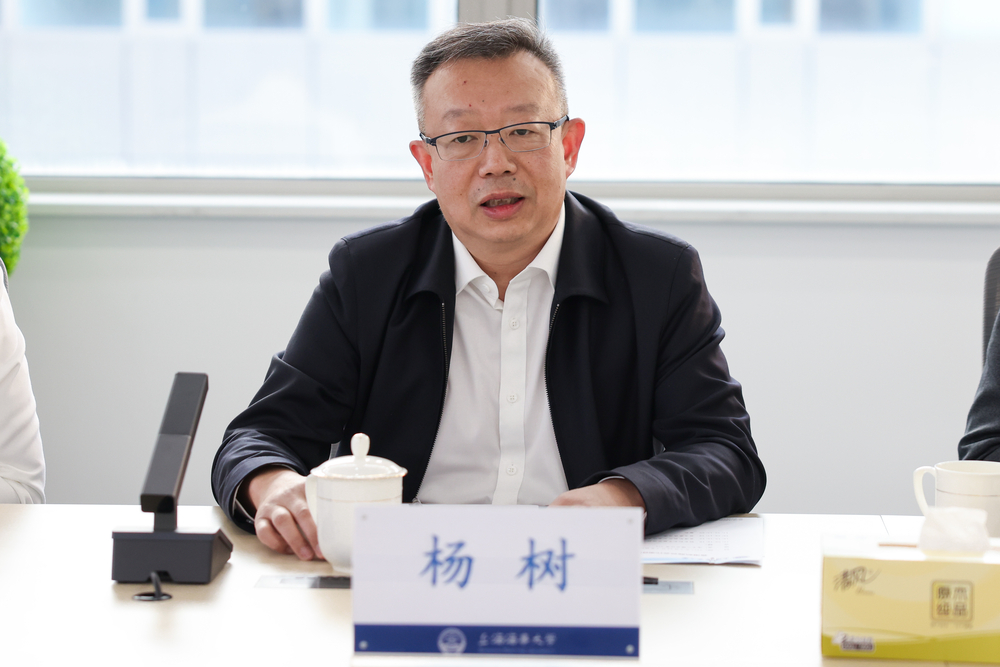 楊樹副廳長發言