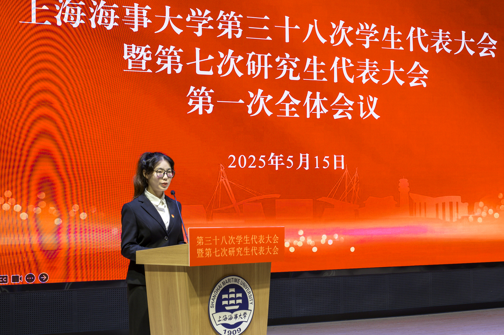 雷小嶼作提案工作報告