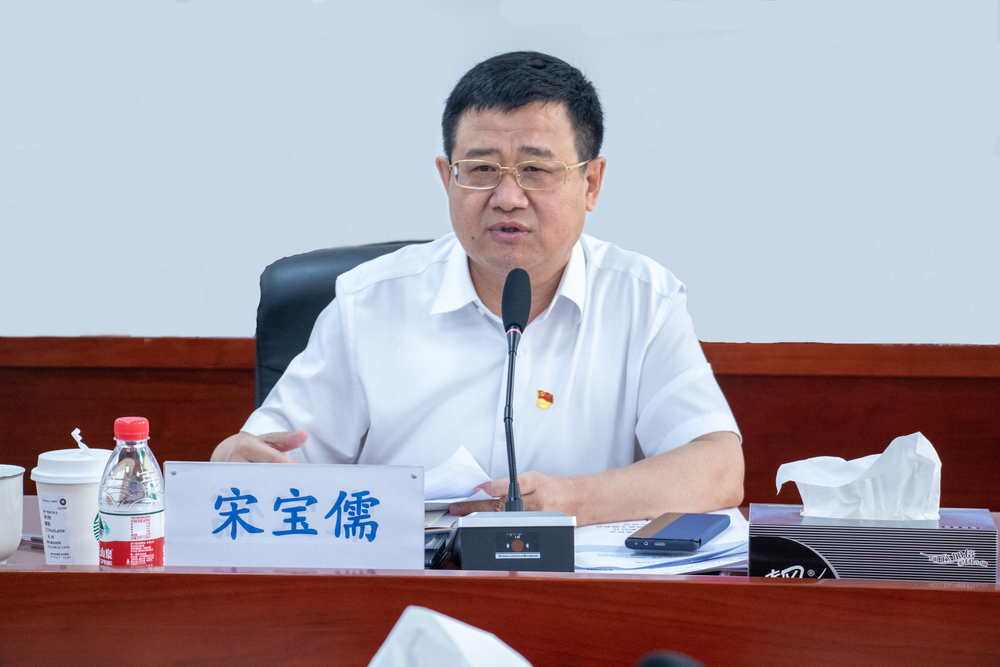 宋寶儒書記講話