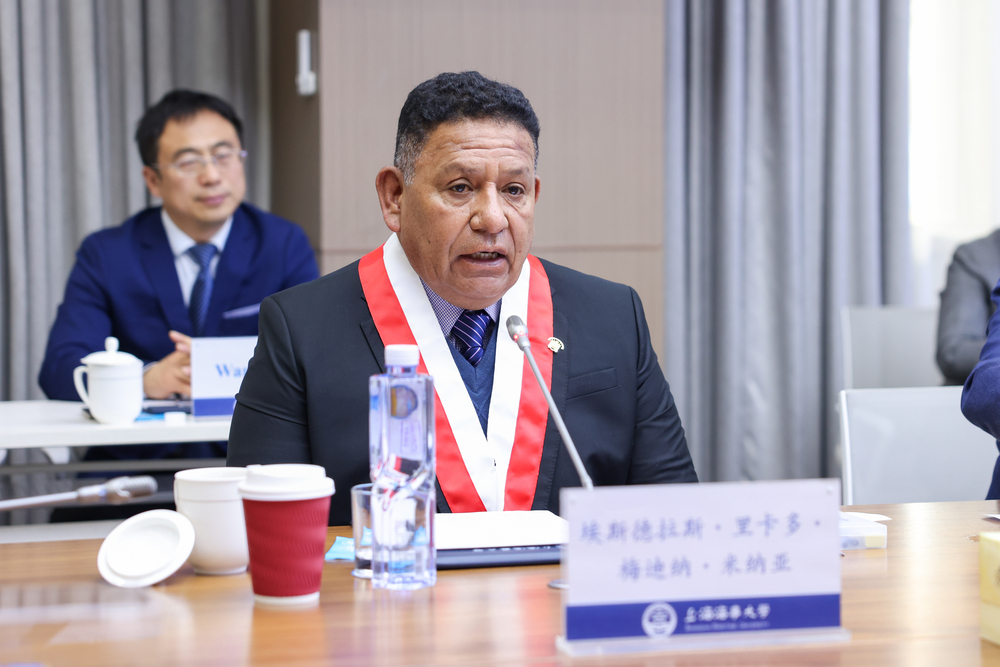 埃斯德拉斯·里卡多·梅迪納·米納亞講話